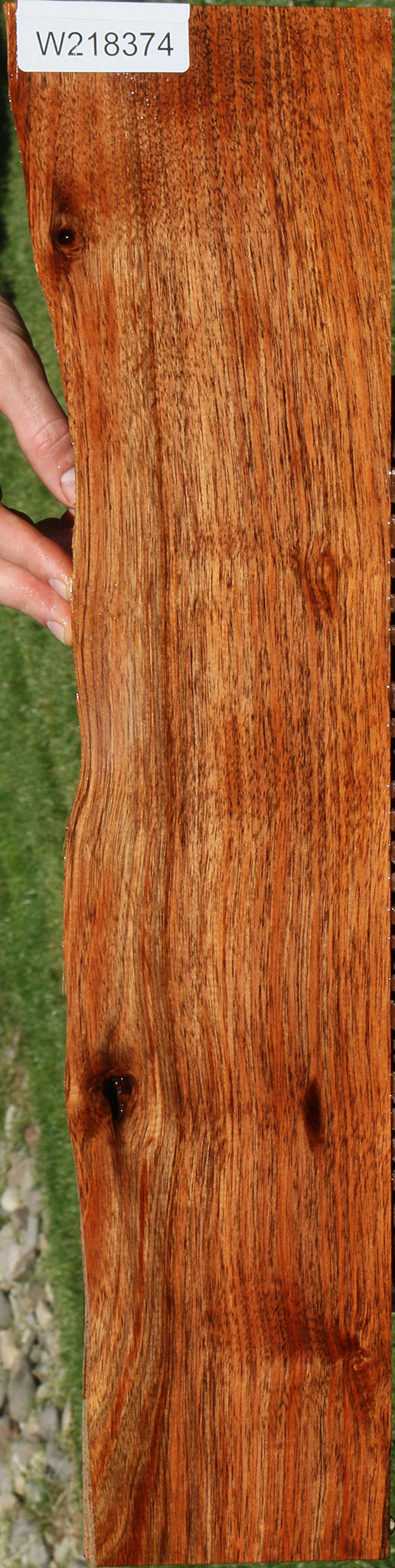 Silver Wattle Live Edge Lumber