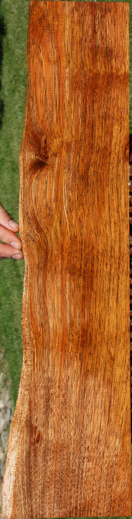 Silver Wattle Live Edge Lumber