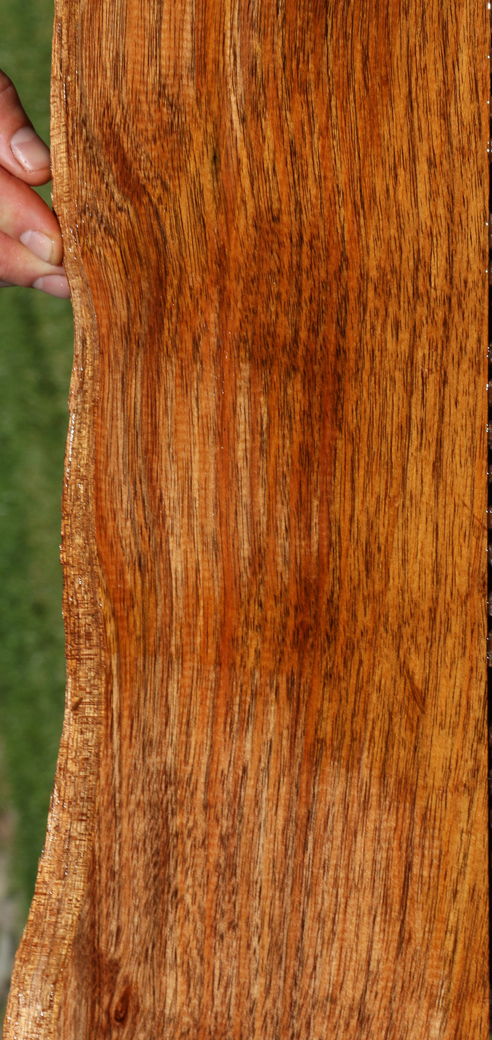 Silver Wattle Live Edge Lumber