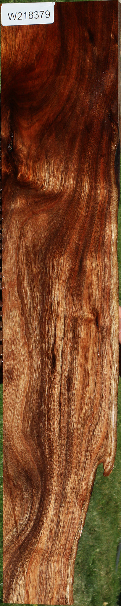 Extra Fancy Silver Wattle Live Edge Lumber