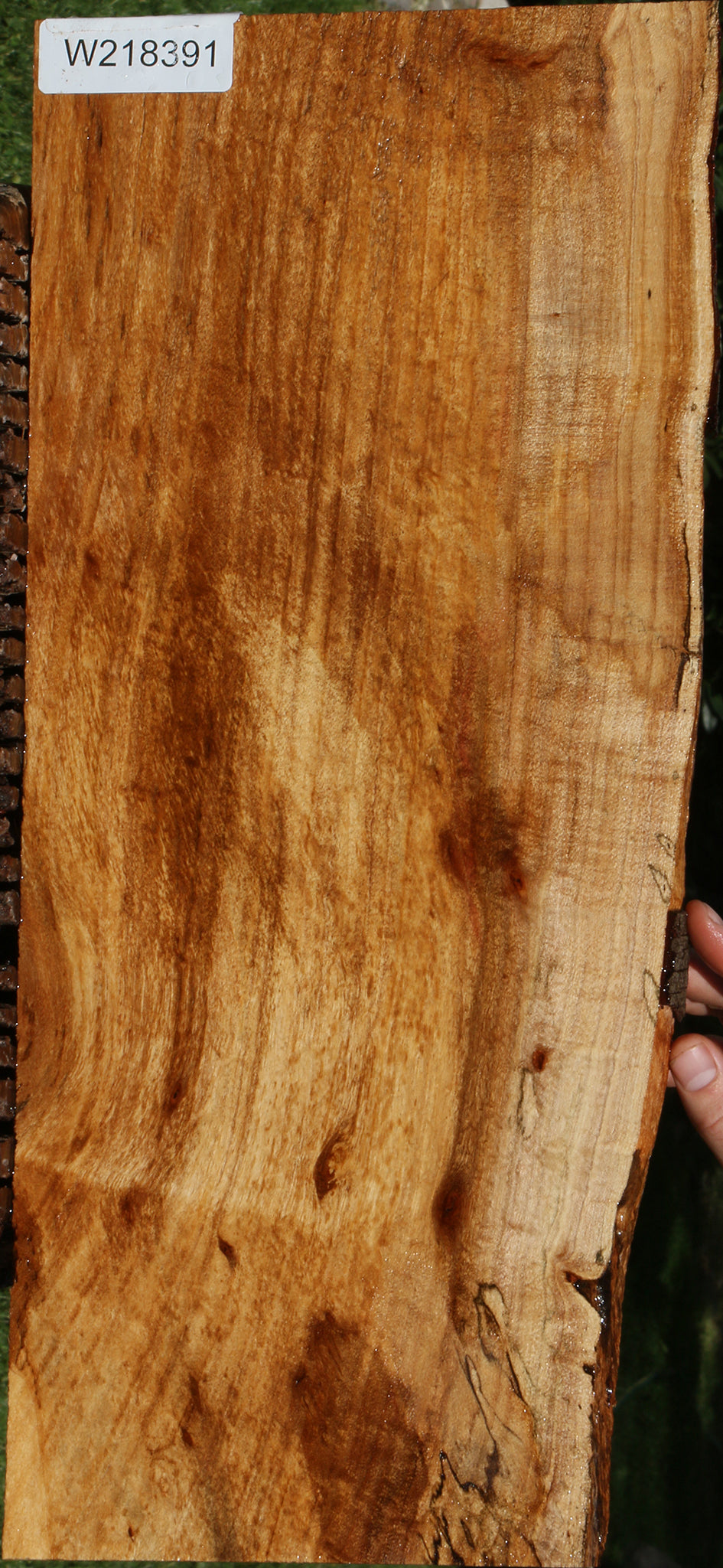 Figured Silver Wattle Live Edge Lumber