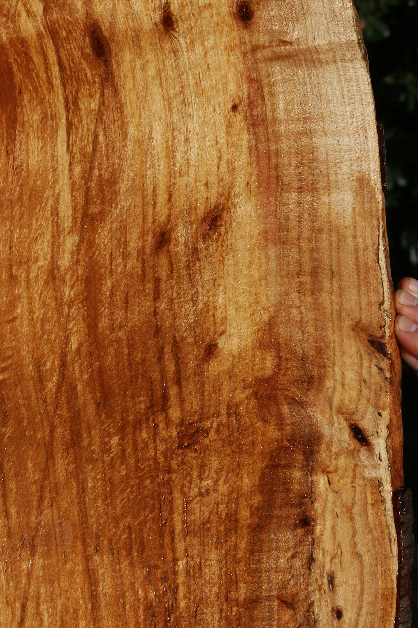 Figured Silver Wattle Live Edge Lumber