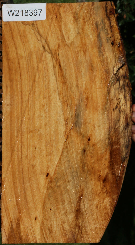 Extra Fancy Silver Wattle Live Edge Lumber