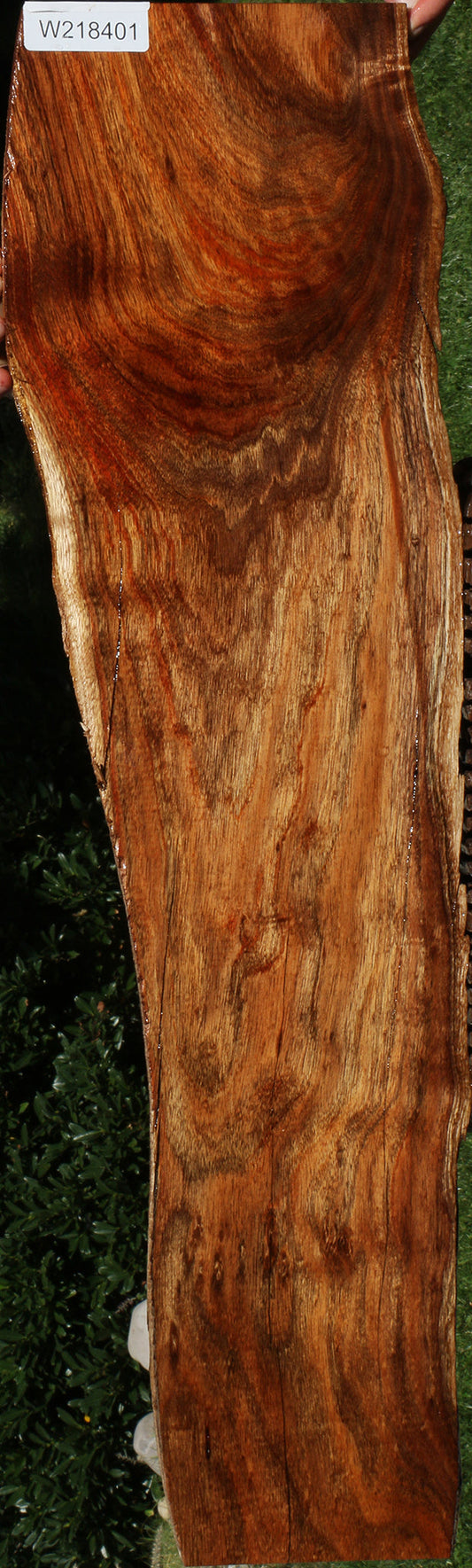 Rustic Silver Wattle Live Edge Lumber