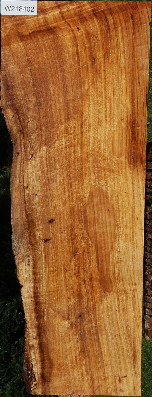 Silver Wattle Live Edge Lumber