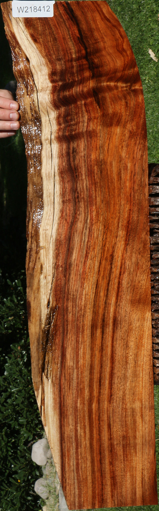 Figured Silver Wattle Live Edge Lumber