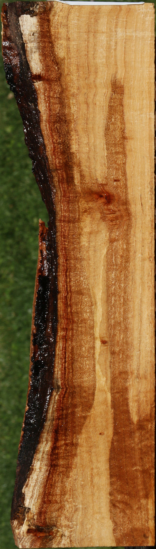 Extra Fancy Silver Wattle Live Edge Lumber