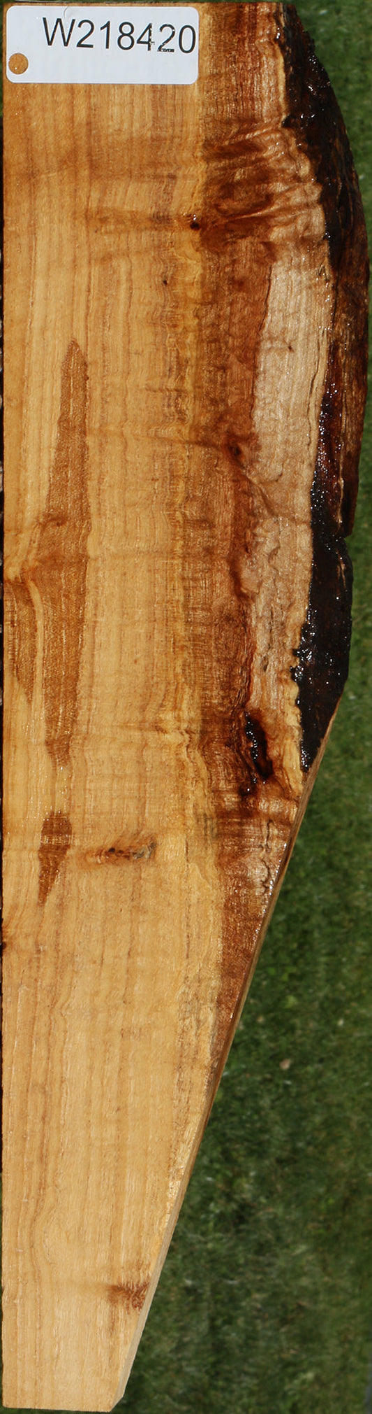 Extra Fancy Silver Wattle Live Edge Lumber