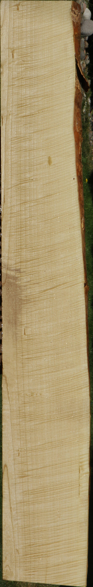 Exhibition Crepe Myrtle Live Edge Lumber