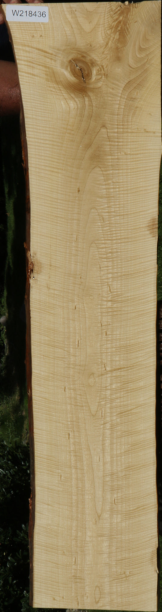 Exhibition Crepe Myrtle Live Edge Lumber