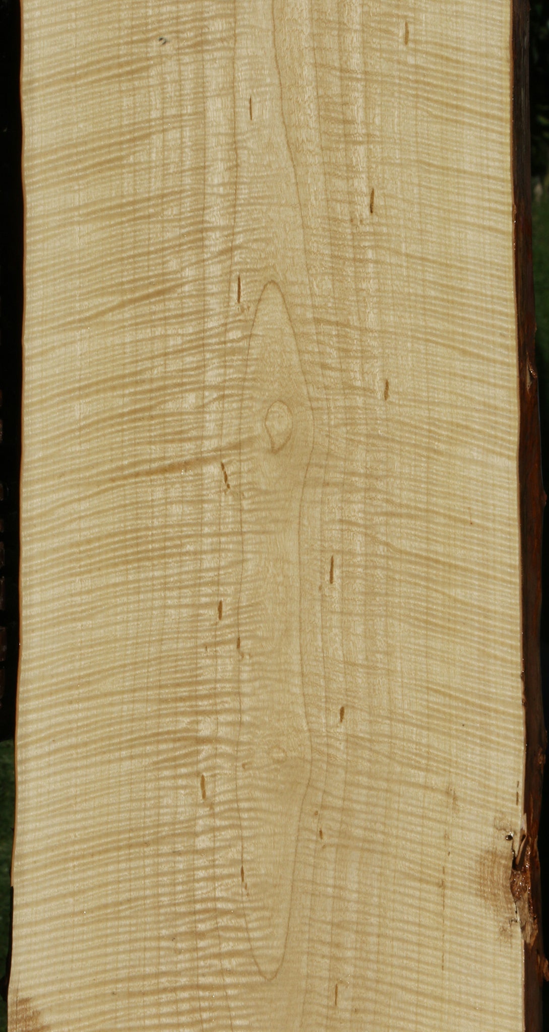 Exhibition Crepe Myrtle Live Edge Lumber