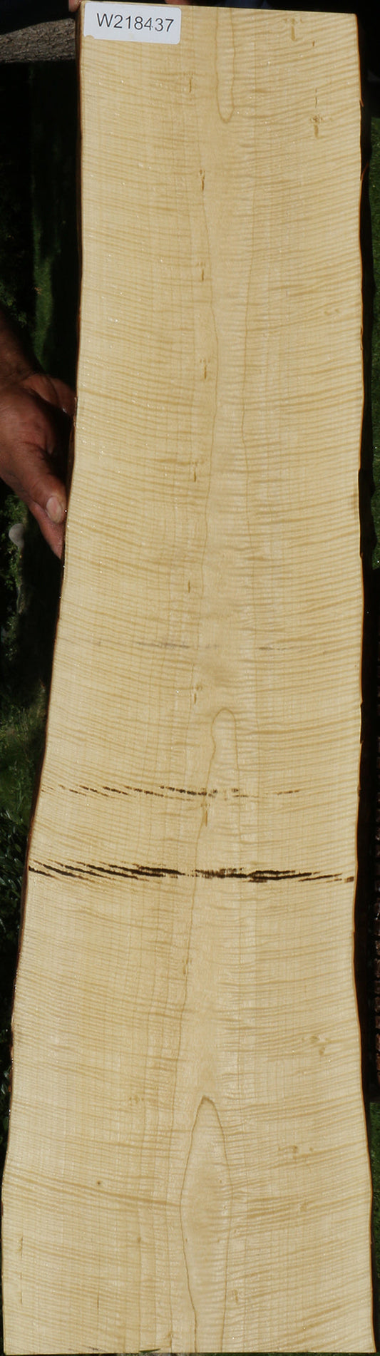 Exhibition Crepe Myrtle Live Edge Lumber