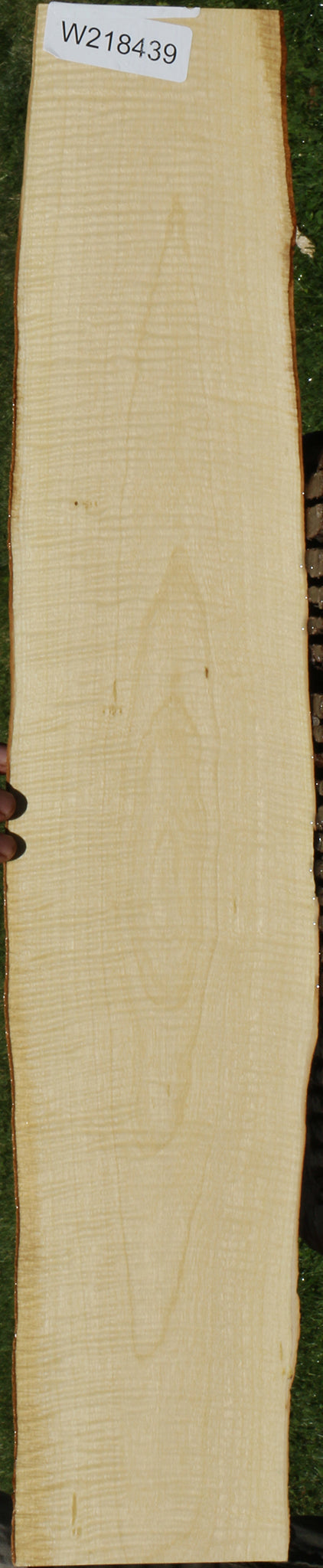 Exhibition Crepe Myrtle Live Edge Micro Lumber