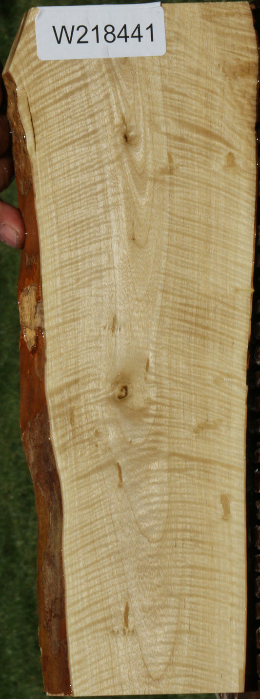 Exhibition Crepe Myrtle Live Edge Lumber