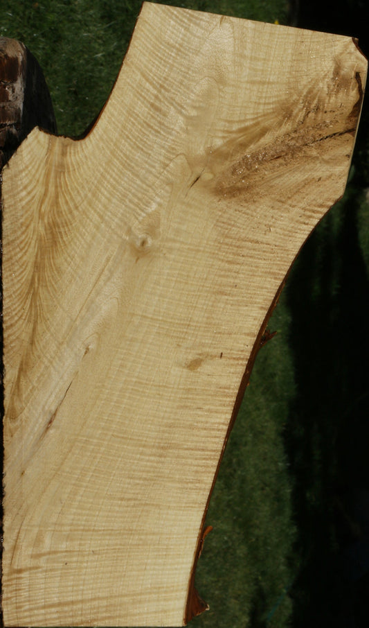 Exhibition Crepe Myrtle Live Edge Lumber