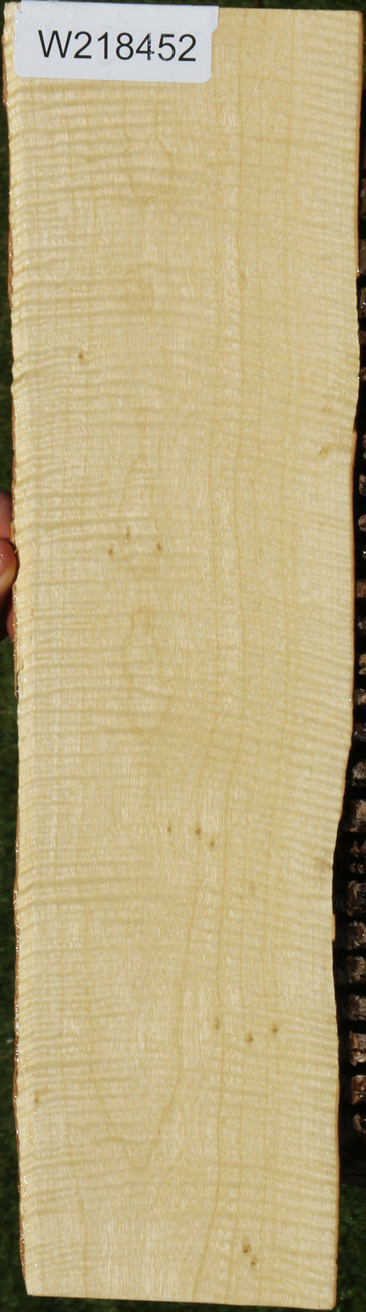 Exhibition Crepe Myrtle Live Edge Micro Lumber