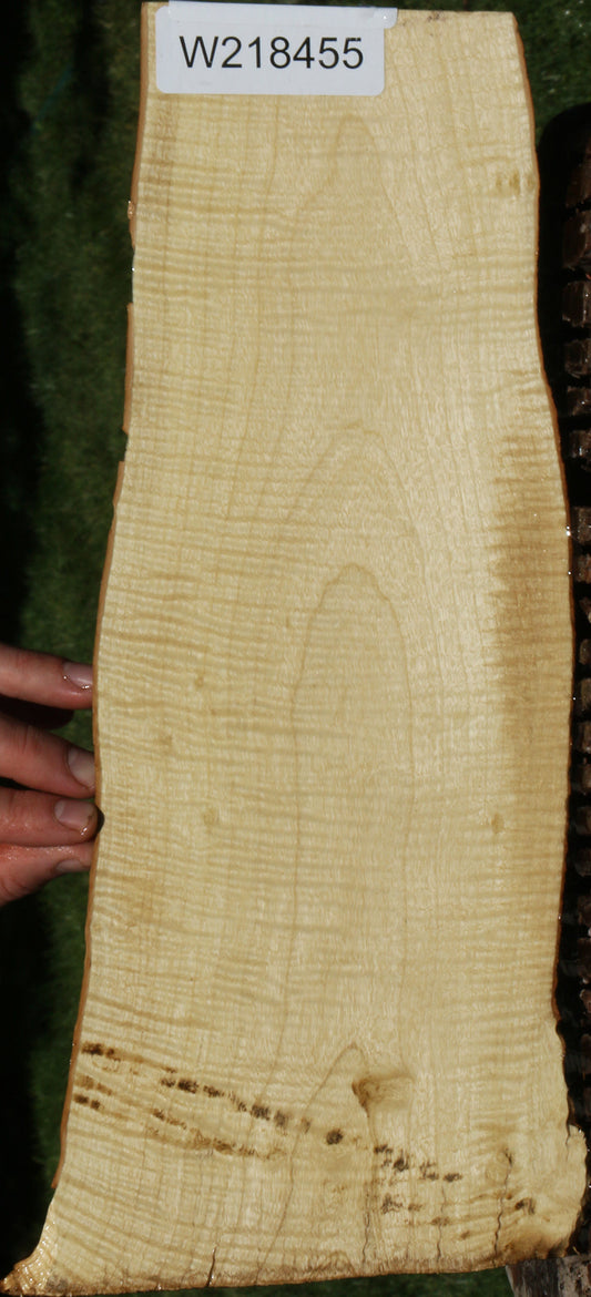 Exhibition Crepe Myrtle Live Edge Micro Lumber