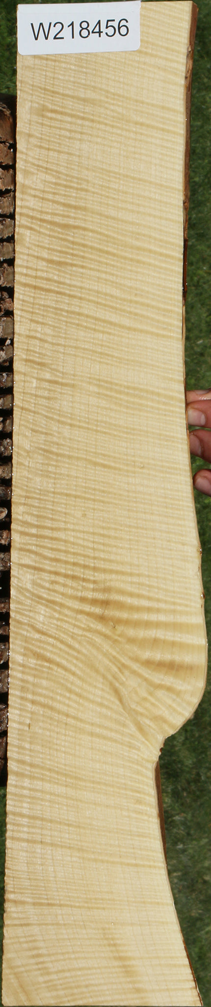 Exhibition Crepe Myrtle Live Edge Lumber