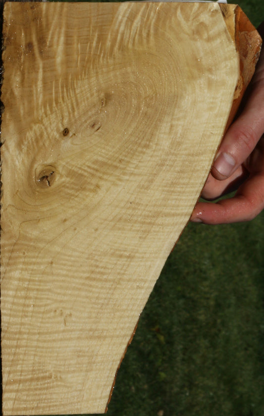 Extra Fancy Crepe Myrtle Live Edge Micro Lumber