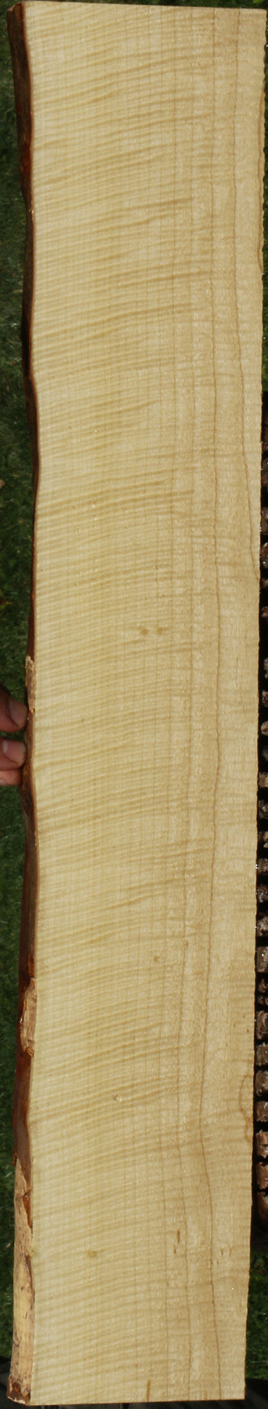 Exhibition Crepe Myrtle Live Edge Lumber