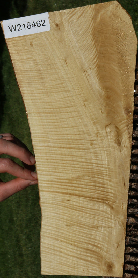 Extra Fancy Crepe Myrtle Live Edge Lumber