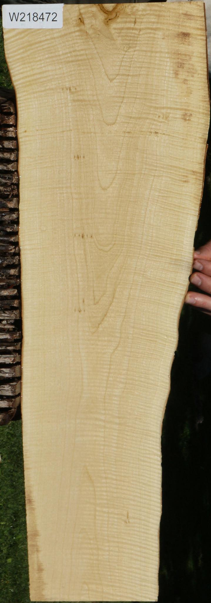 Exhibition Crepe Myrtle Live Edge Lumber
