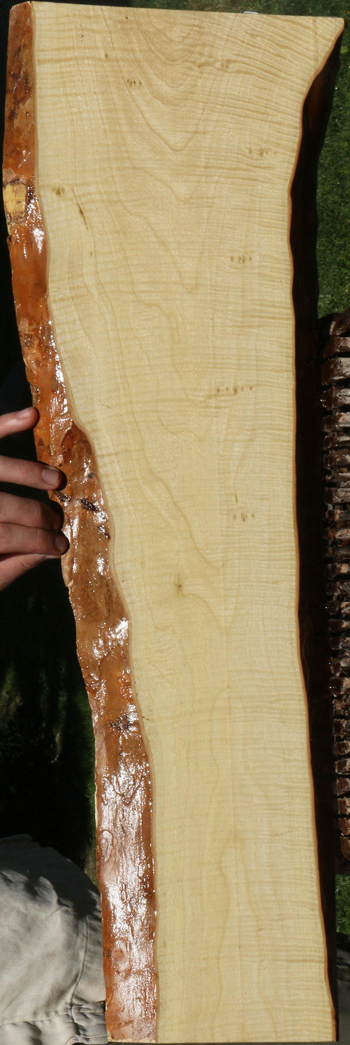 Exhibition Crepe Myrtle Live Edge Lumber