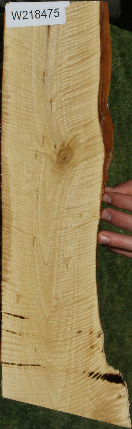 Extra Fancy Crepe Myrtle Live Edge Micro Lumber