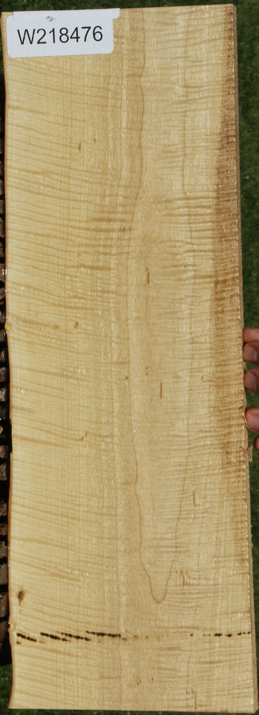 Exhibition Crepe Myrtle Live Edge Lumber