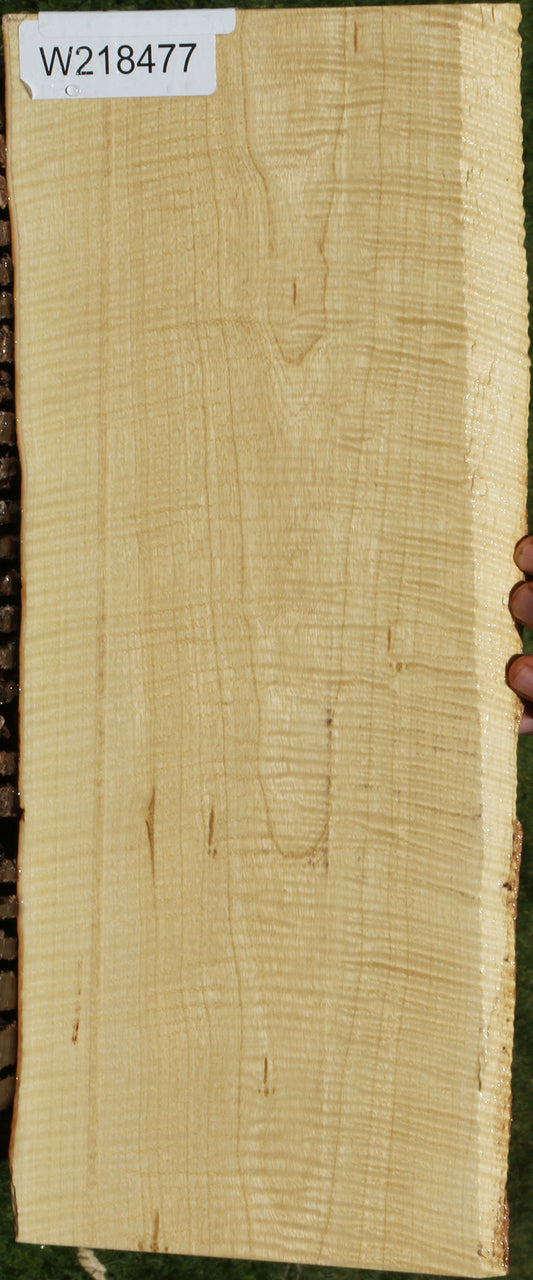 Exhibition Crepe Myrtle Live Edge Lumber