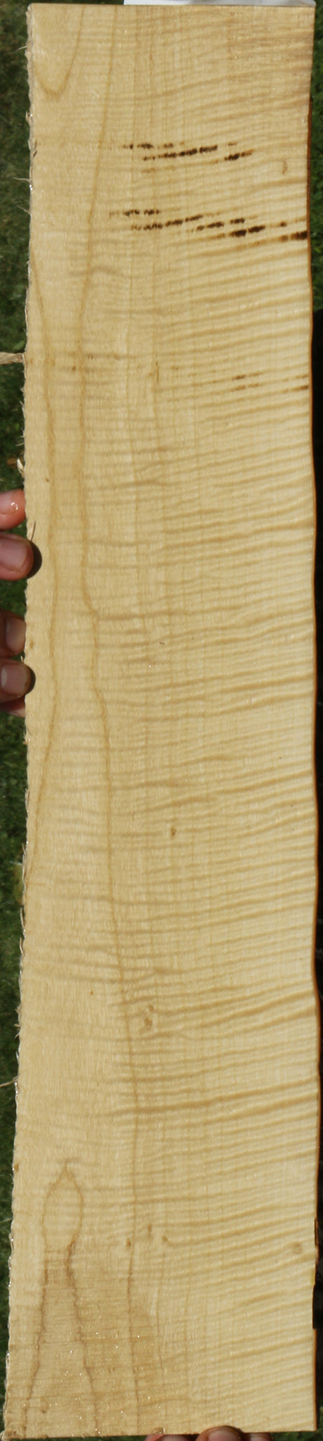 Exhibition Crepe Myrtle Live Edge Micro Lumber