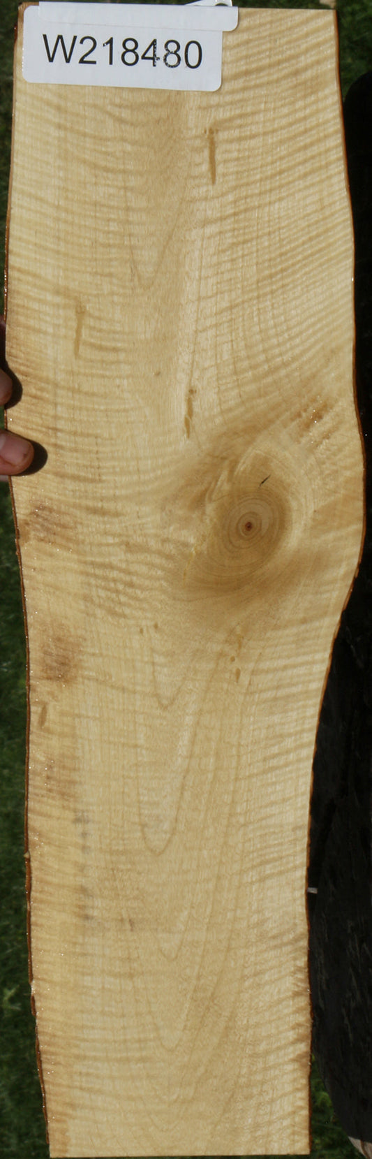 Extra Fancy Crepe Myrtle Live Edge Micro Lumber