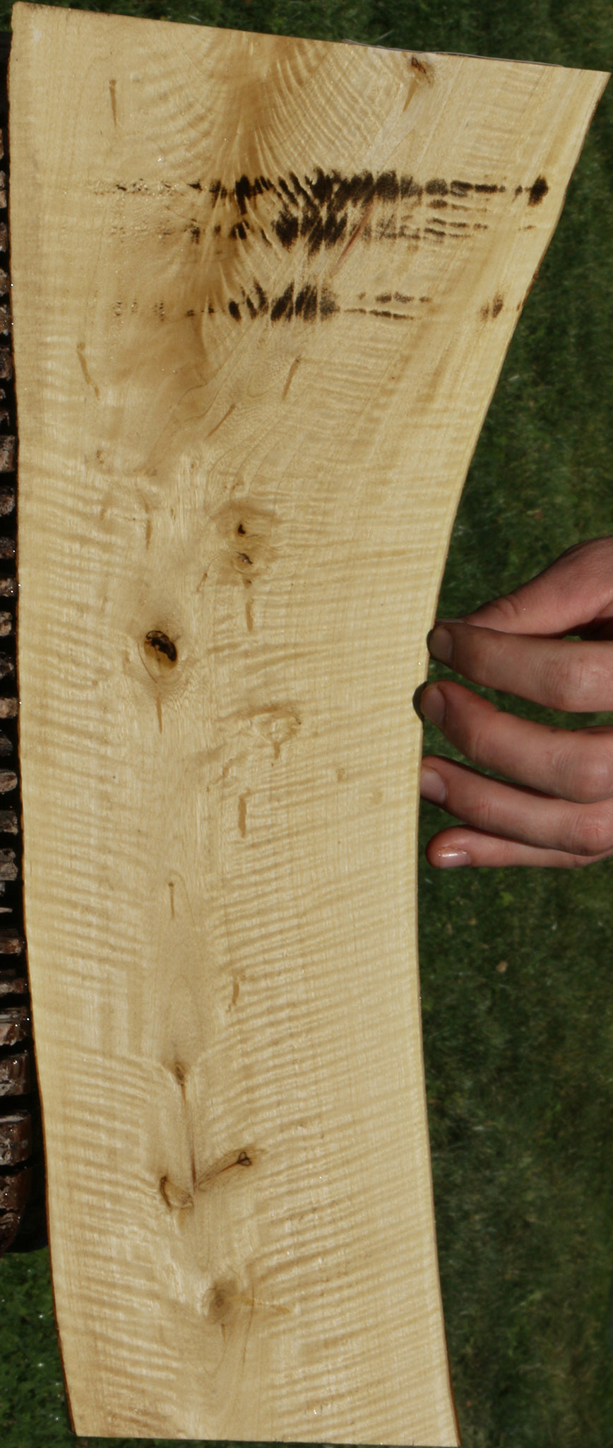 Extra Fancy Crepe Myrtle Live Edge Micro Lumber