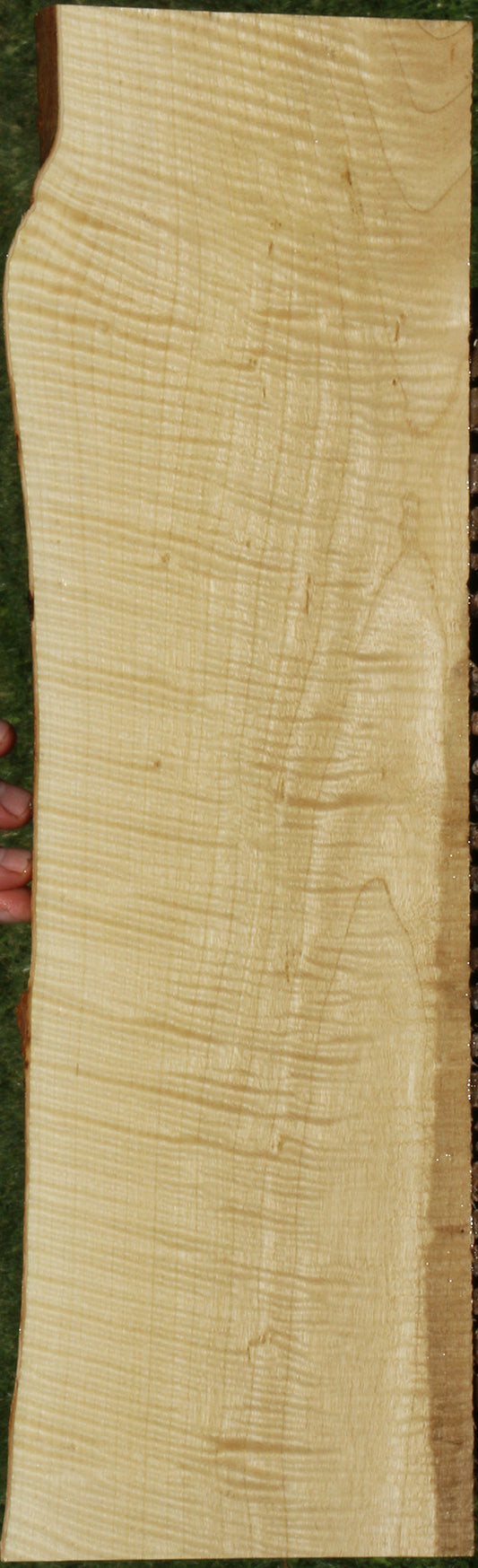 Exhibition Crepe Myrtle Live Edge Lumber