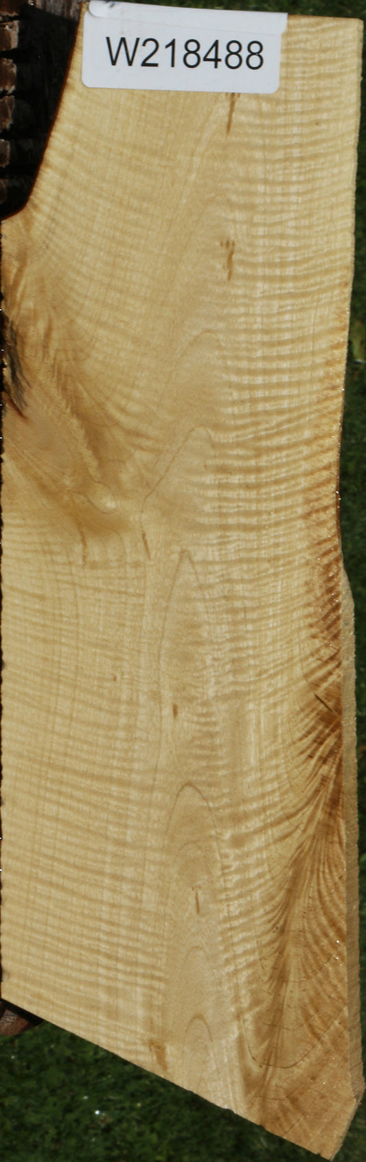 Exhibition Crepe Myrtle Live Edge Lumber
