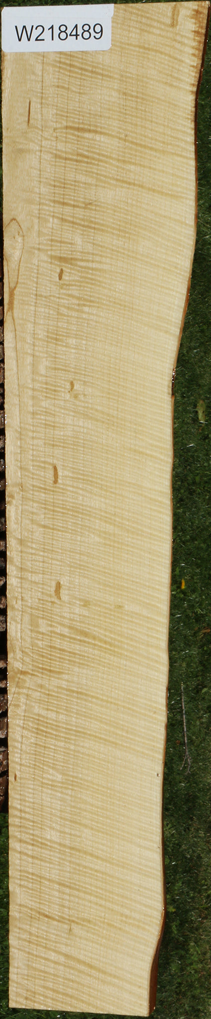 Exhibition Crepe Myrtle Live Edge Lumber