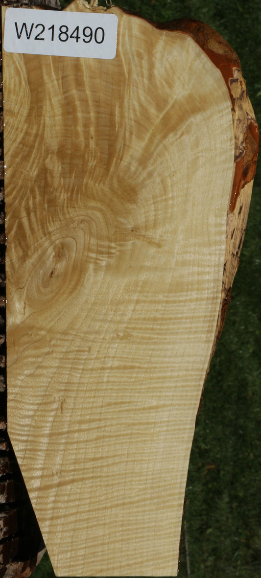 Extra Fancy Crepe Myrtle Live Edge Micro Lumber