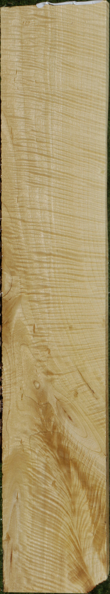 Exhibition Crepe Myrtle Micro Lumber