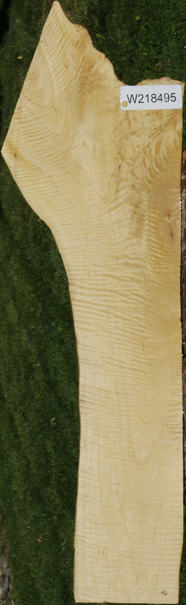 Exhibition Crepe Myrtle Live Edge Micro Lumber