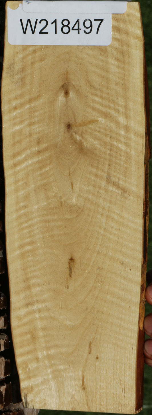 Extra Fancy Crepe Myrtle Live Edge Micro Lumber