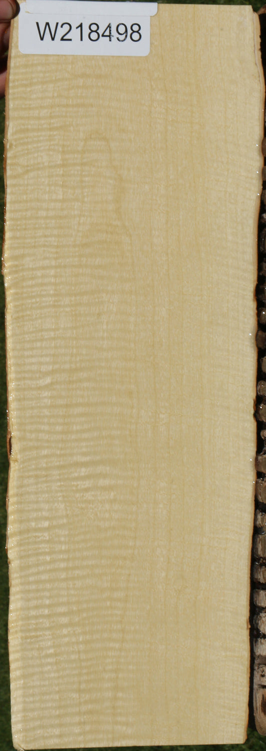 Exhibition Crepe Myrtle Live Edge Micro Lumber