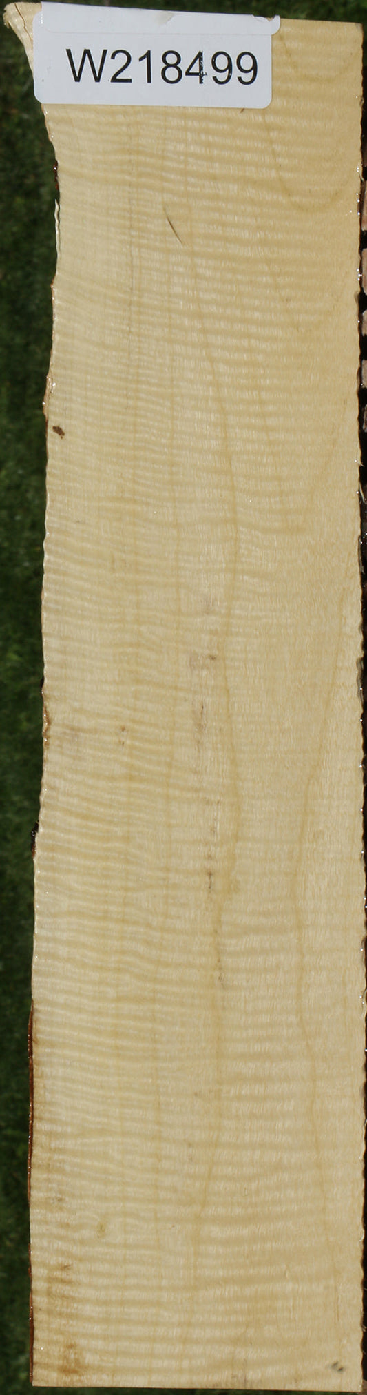 Exhibition Crepe Myrtle Live Edge Micro Lumber