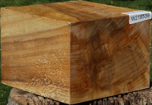 Figured Black Cottonwood Bowl Blank