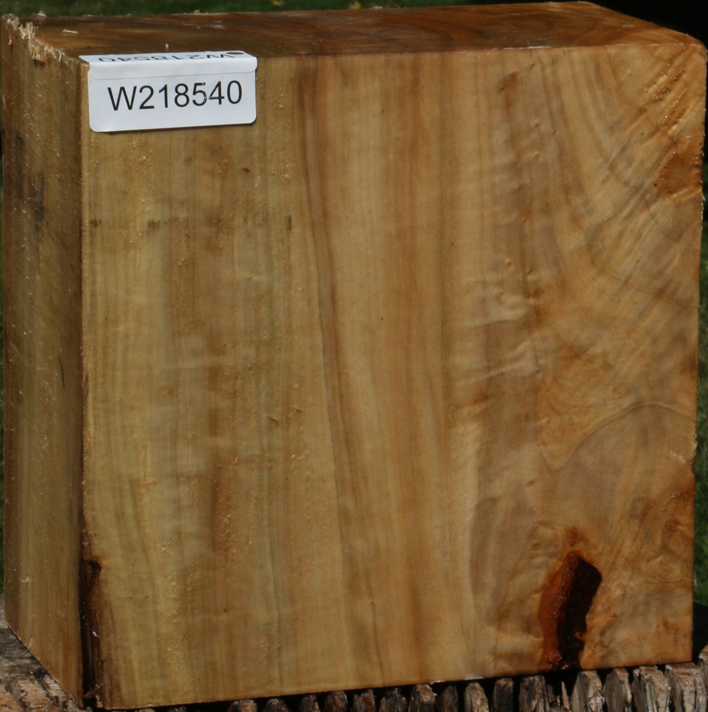 Extra Fancy Black Cottonwood Bowl Blank