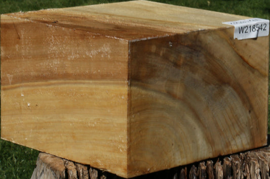 Black Cottonwood Bowl Blank