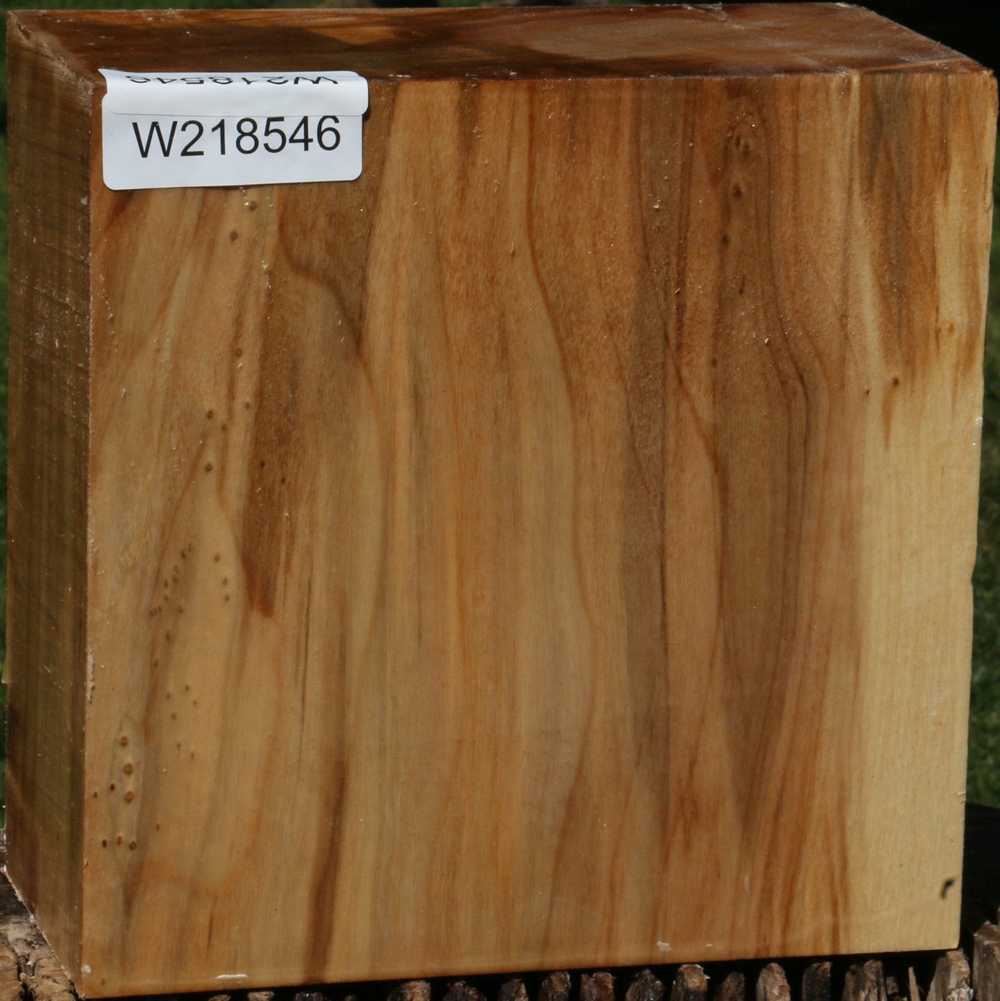 Figured Black Cottonwood Bowl Blank