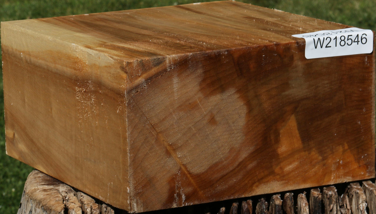 Figured Black Cottonwood Bowl Blank