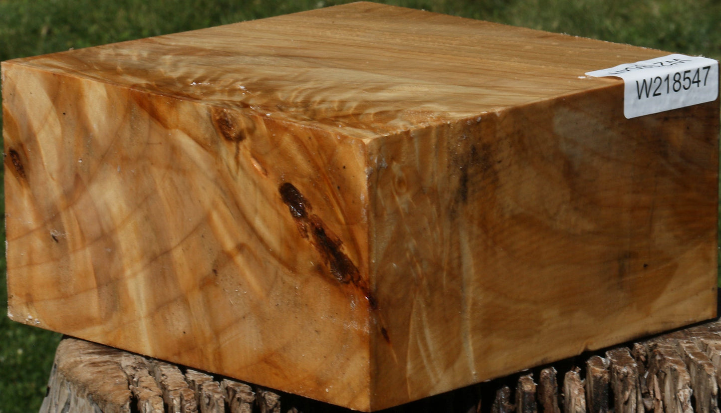 Extra Fancy Black Cottonwood Bowl Blank