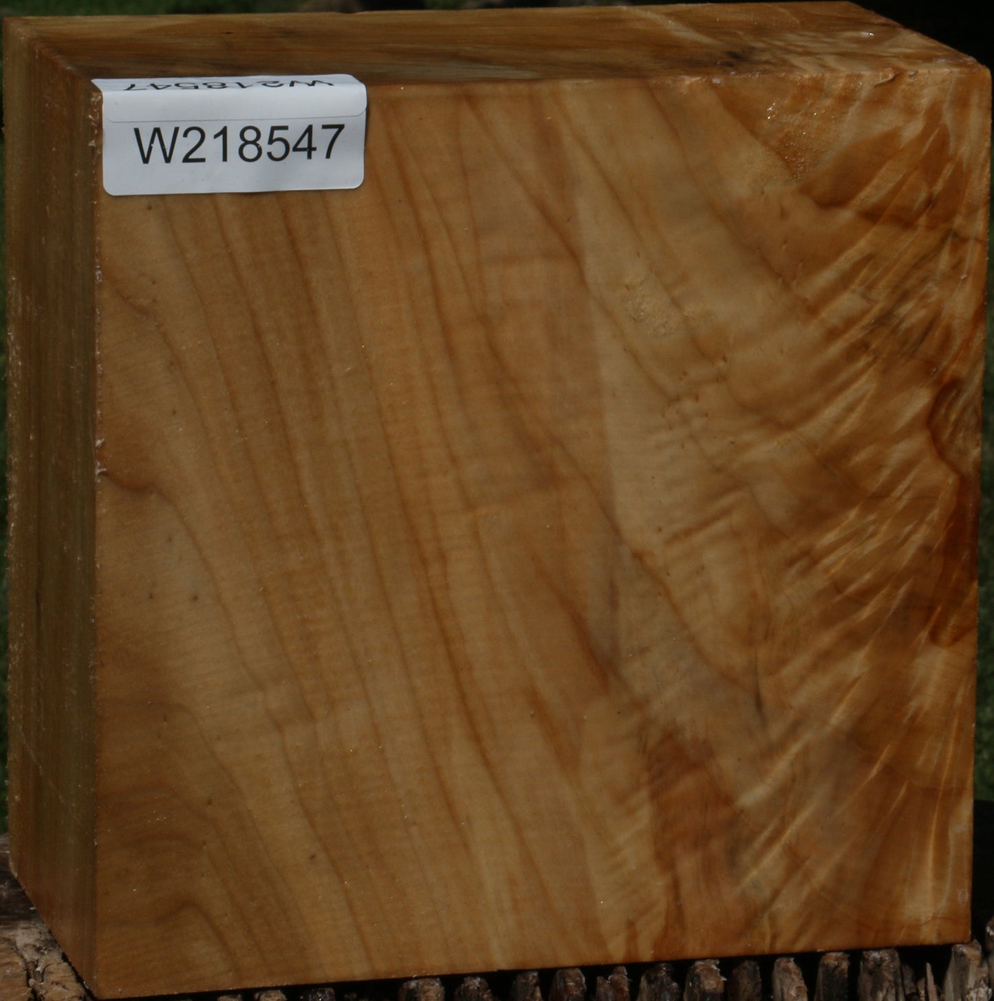 Extra Fancy Black Cottonwood Bowl Blank