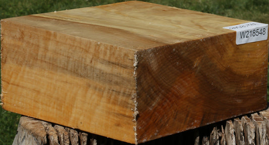 Figured Black Cottonwood Bowl Blank